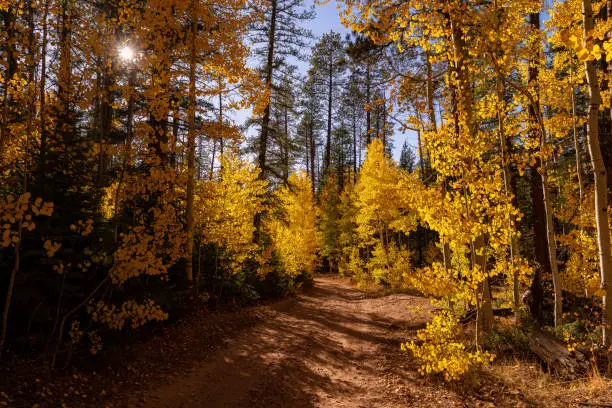 Photo of North Rim of Grand Canyon National Park in Arizona