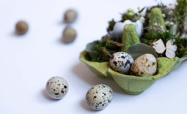 istock Close-up, quail eggs in a tray, Easter holiday concept. 1371928147