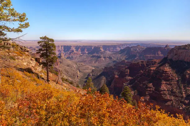 Photo of View from the North Rim of Grand Canyon National Park in Arizona