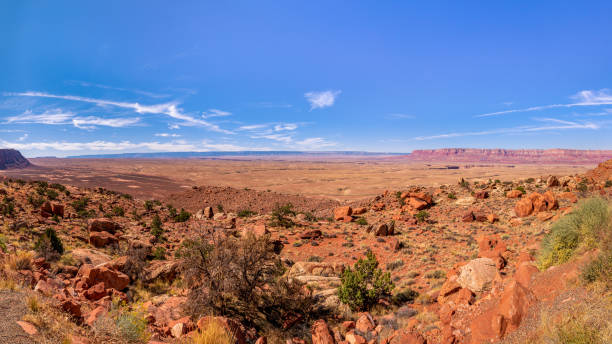 istock Marble Canyon in Arizona 1371928510