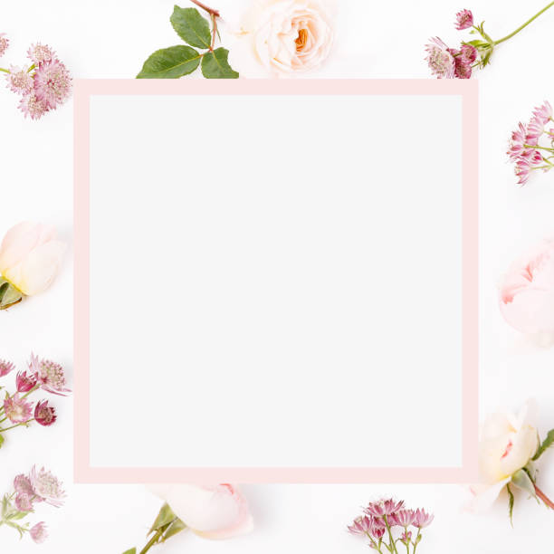 istock Festive flower composition on the white background. Overhead view 1371934667
