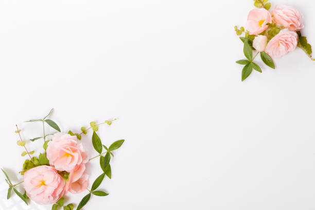 istock Festive flower composition on white background. Overhead view 1371934701