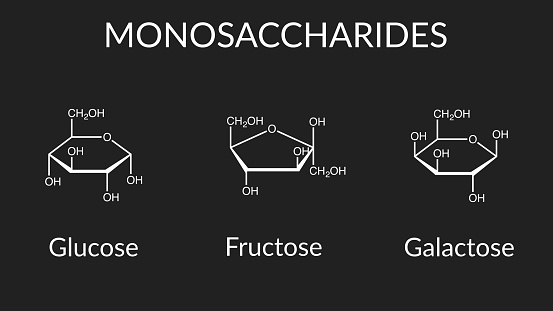 Vector illustration of monosaccharides: glucose, fructose, and galactose.