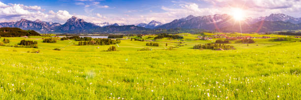 Beautiful view of idyllic alpine mountain scenery with blooming meadows and snowcapped mountain peaks on a beautiful sunny day with blue sky in springtime