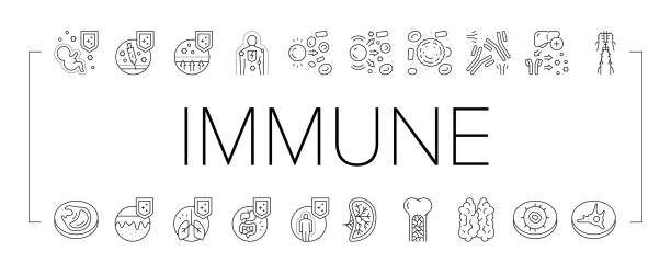 ilustrações de stock, clip art, desenhos animados e ícones de immune system disease and treat icons set vector . - macrophage human immune system cell biology