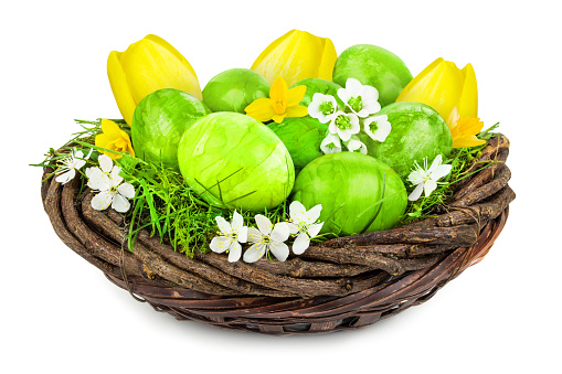 Green Easter decoration eggs and yellow tulips on white background