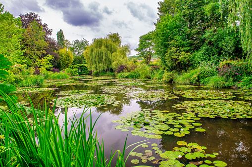 Beautiful Monet’s Gardens Giverny