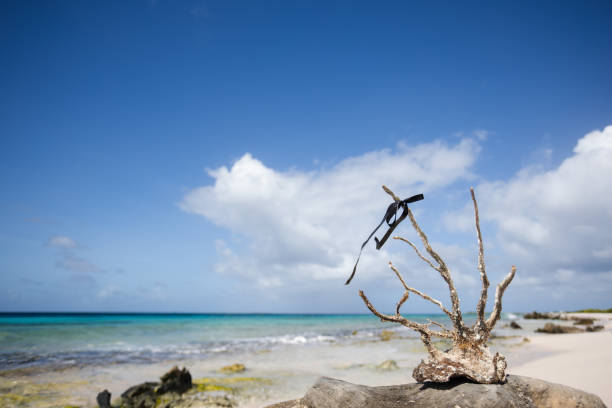 istock Dead coral on the beach with black ribbon on it. 1371939826