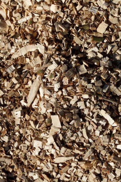 istock Wood chips, wood chips, bark mulch, flooring, wallpaper 1371942386