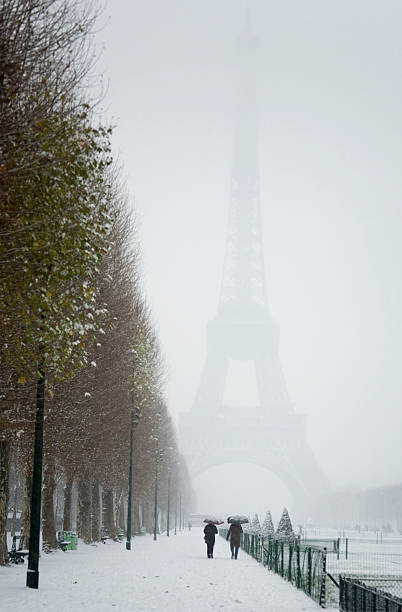 istock Rare snowy day in Paris 137194346