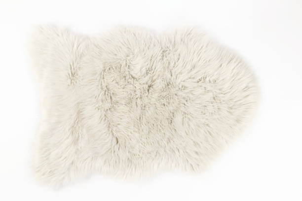 istock shaggy carpet background 1371947503