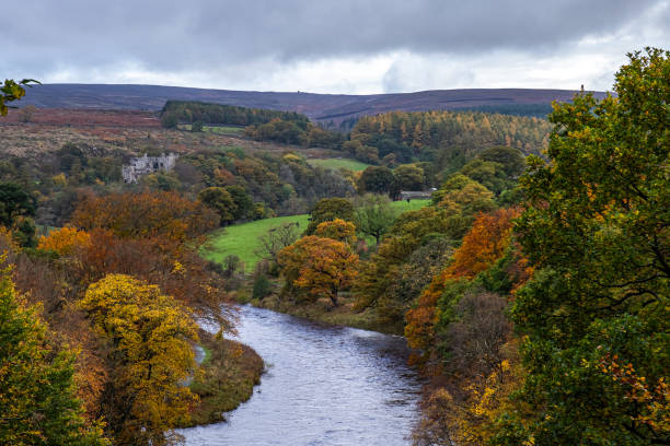 istock Autumn Leaves over the River Wharfe 1371947692