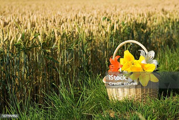 Foto de Cesta De Piquenique Com Buquê De Flores e mais fotos de stock de Agricultura - Agricultura, Almoço, Amarelo