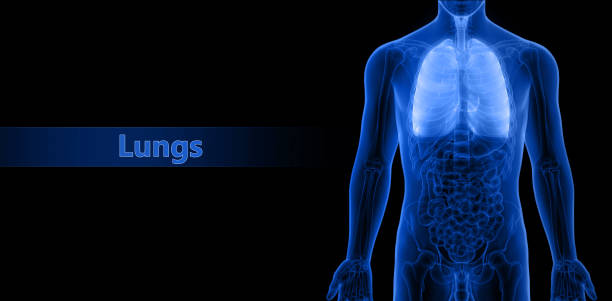 A snapshot of the lungs. Fluorography. X-ray shows lungs with pneumonia. Chest x-ray into the lumen on a white screen. Ribs and lungs in x-ray. Coronavirus. A symbol of a healthy lifestyle