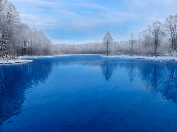 istock Winter landscape with small lake 1371950096