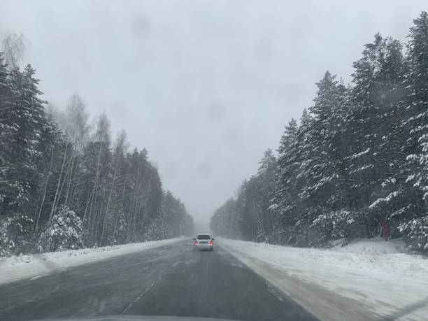 istock Snowy road in pine tree forest 1371950127