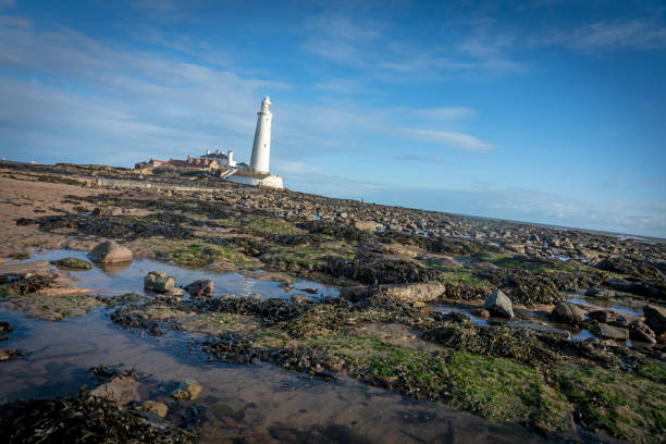 istock St Mary's Island on a bright Spring day 1371950963