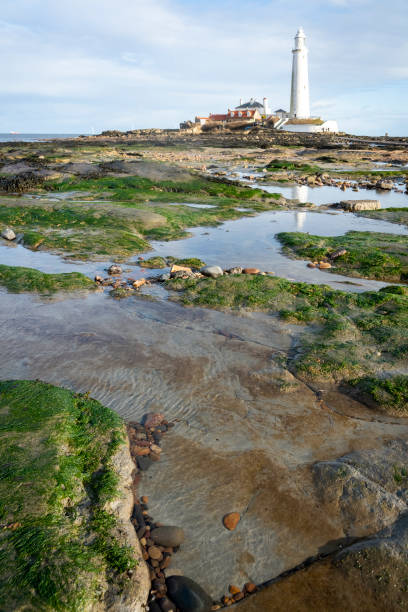 istock St Mary's Island on a bright Spring day 1371951214