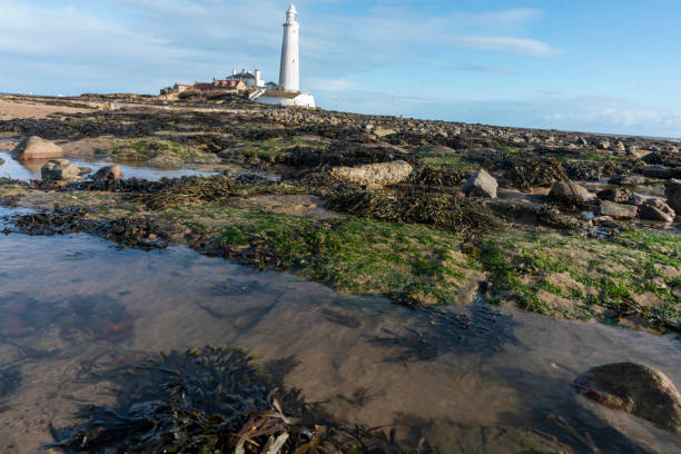 istock St Mary's Island on a bright Spring day 1371954376