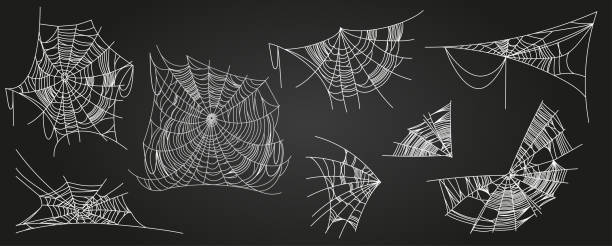 spider - spinnennetz stock-grafiken, -clipart, -cartoons und -symbole
