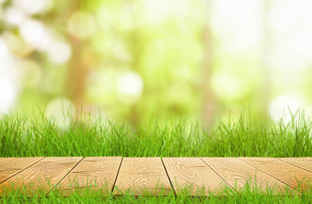 istock wooden table top and grass 1371958999