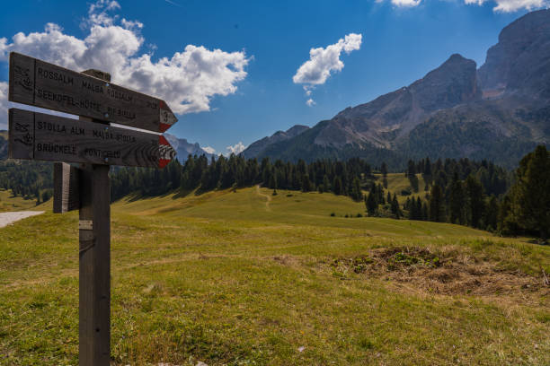 istock PRATO PIAZZA NELLA VALLE DI BRAIES - ALTA PUSTERIA 1371960037