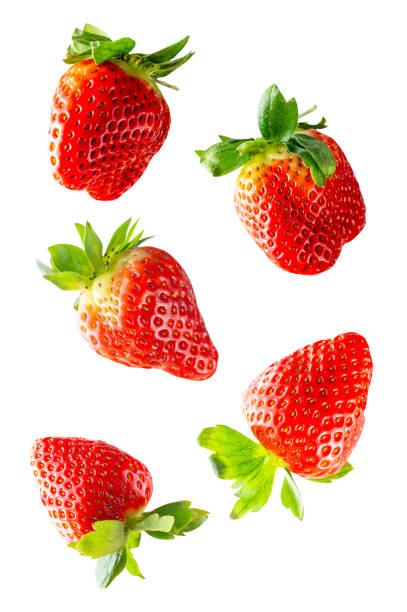istock Strawberry group isolated on white background. Levitating fruit mock up, template. 1371961691
