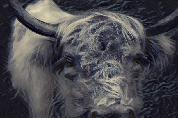istock Artwork of Scottish Highland Cow 1371963164