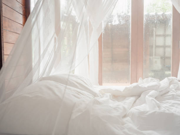 istock Mosquito net and bed in hotel room 1371963211