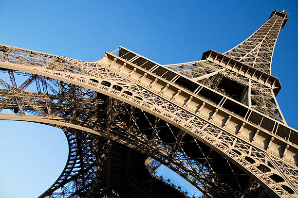 istock Wide angle view of the Eiffel Tower 137196350