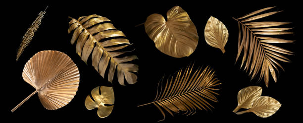 istock Tropical leaves gold and black, can be used as background(Monstera,palm,coconut,fern) 1371963778