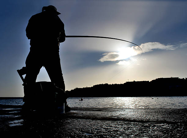 Silhouette of fisherman working Fisherman shot in action while he hooked a fish to his bait. Shoot is taken against the sun to capture the silhouette effect, tinca tinca stock pictures, royalty-free photos & images