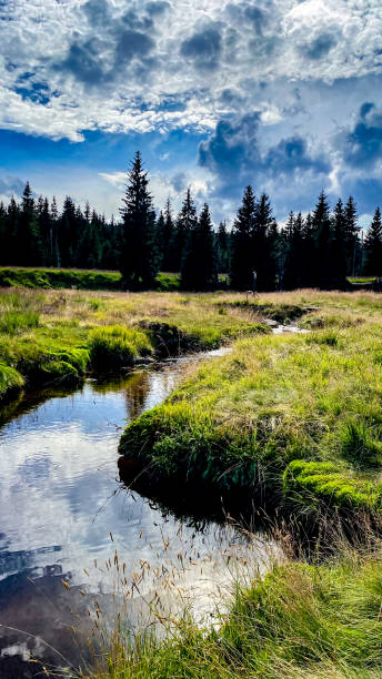 istock Mountain stream in Jizerka Hamlet of Jizera Mountains, Czech Republic 1371966460