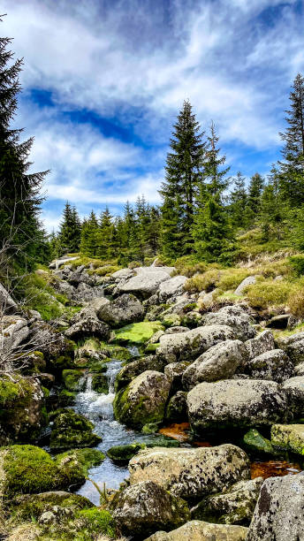 Mountain river in Jizera Mountains, Czech Republic Mountain river with moss and big stones in Jizera Mountains, Czech Republic czech republic mountains stock pictures, royalty-free photos & images