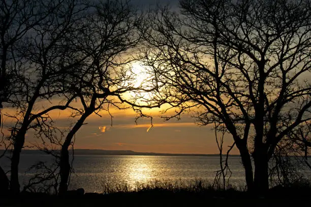 Photo of Stunning Sunset at Sandy Hook Bay -49