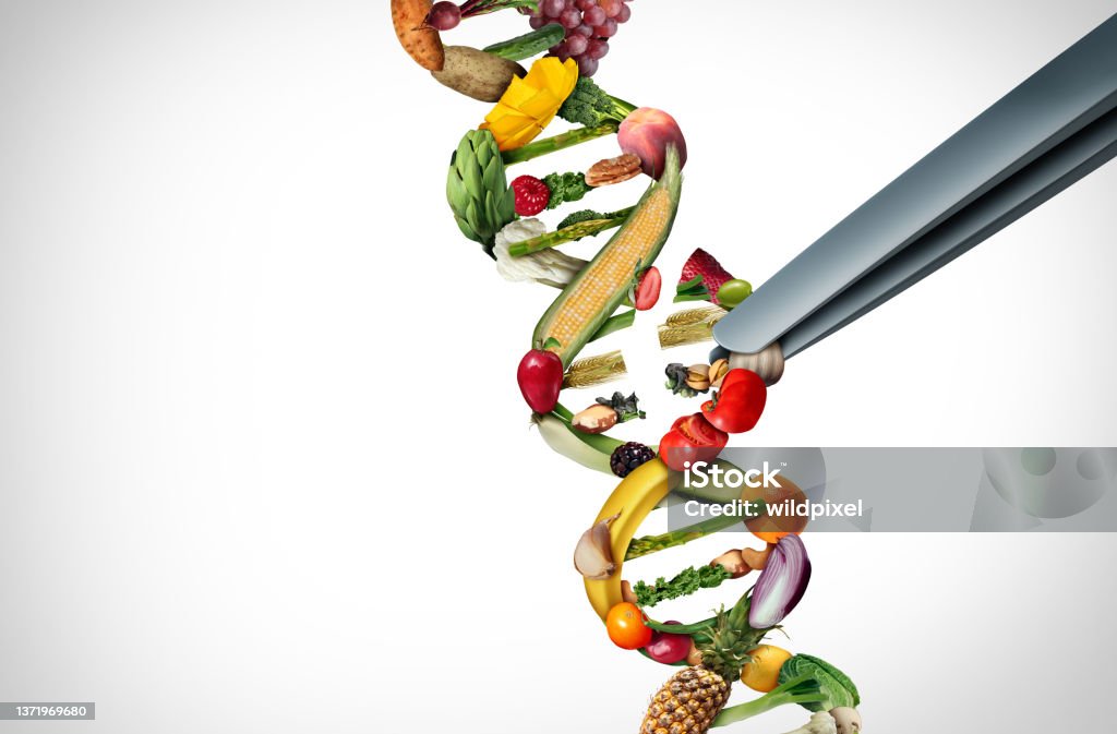Agriculture Gene Editing Agriculture gene editing and agricultural CRISPR concept or genetic engineering of food as a group of farm produce shaped as a DNA strand with 3D illustration elements. CRISPR Stock Photo
