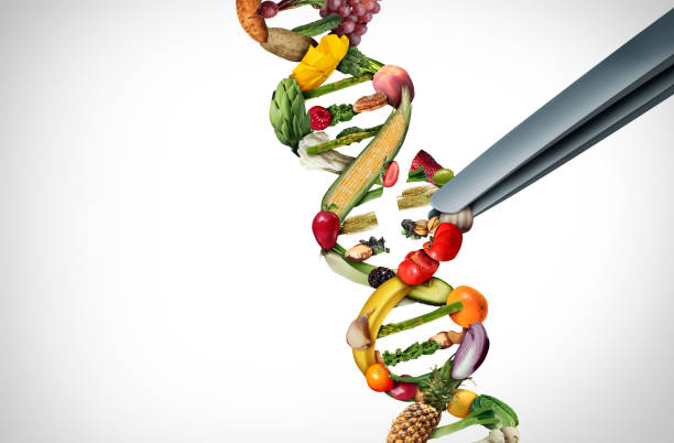 Agriculture Gene Editing Agriculture gene editing and agricultural CRISPR concept or genetic engineering of food as a group of farm produce shaped as a DNA strand with 3D illustration elements. crispr photos stock pictures, royalty-free photos & images