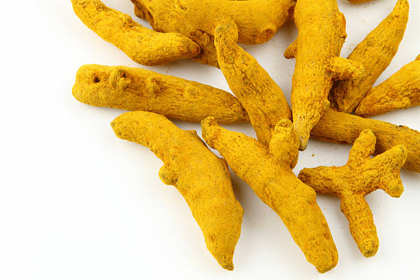 Turmeric barks stock photo