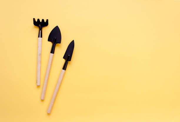 istock gardening tools and houseplant on color background. copy space. 1371974086