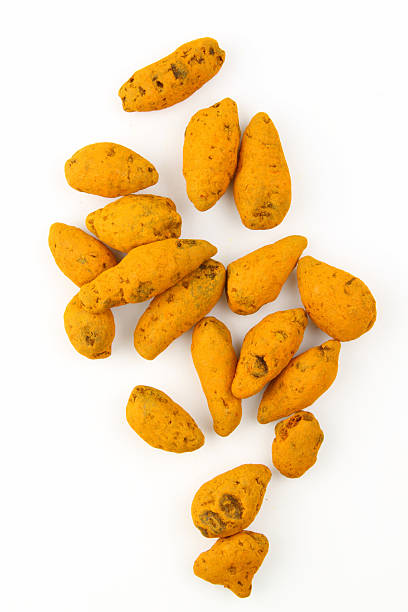 Turmeric barks stock photo