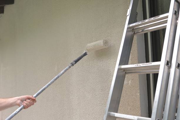 istock Construction roller and metal building ladder on a beige wall.Home renovation outside.Roller painting the walls of the house in beige color.House painting.Construction and renovation. 1371977000