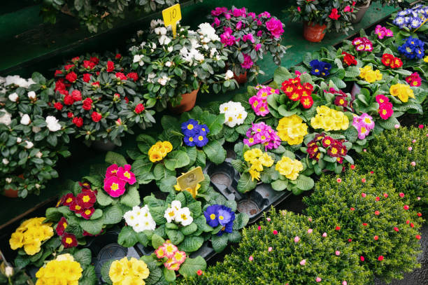 istock Flowers for sale 1371979623