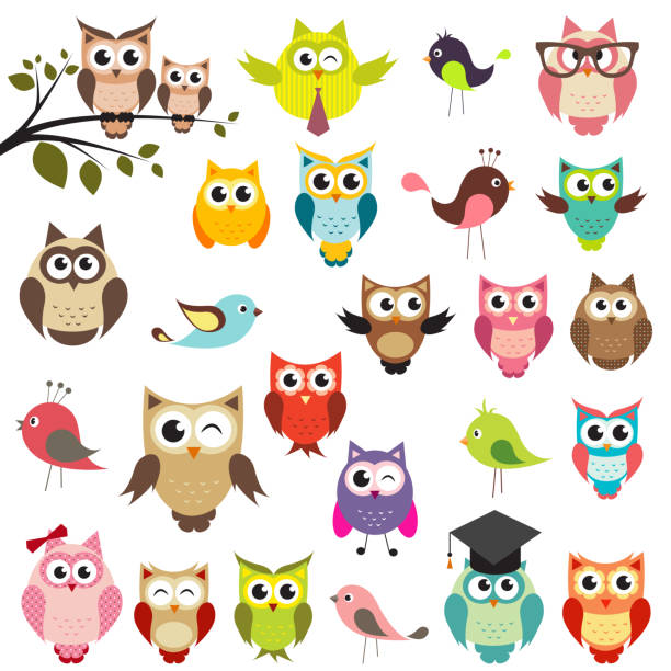 set of owls set of cute owls isolated on white owl stock illustrations