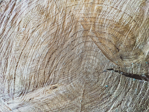 Rough dead tree stump cracked texture element