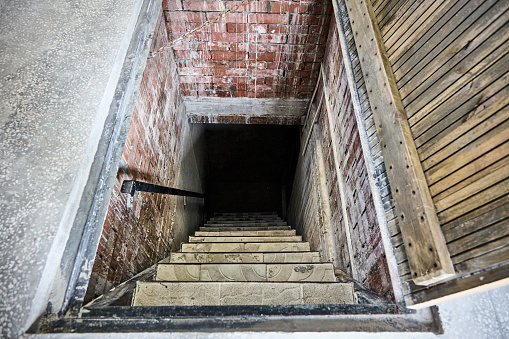 Entrance to a dark, damp, brick cellar with a wooden lid and steps with tiles. Cellar with mold and mildew.