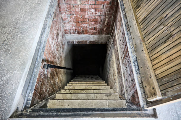 entrada para um adega escuro, úmido, tijolo com uma tampa de madeira e degraus com telhas - basement staircase old steps - fotografias e filmes do acervo