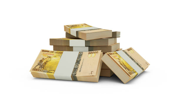 istock 3d rendering of Stack of Ugandan shilling notes. bundles of Ugandan currency notes isolated on white background 1371987545