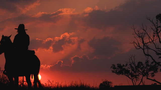 Silhouette one cowboy is riding horse in front of sunset on slope near tree. Beautiful sky with natural light as background