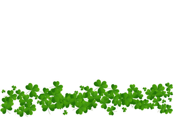 st. patricks day hintergrund mit kleeblättern und weißem, durchgehendem hintergrund - irish culture st patricks day backgrounds good luck charm stock-grafiken, -clipart, -cartoons und -symbole