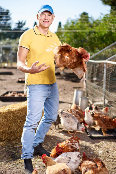 istock male farmer on chicken farm 1371988177